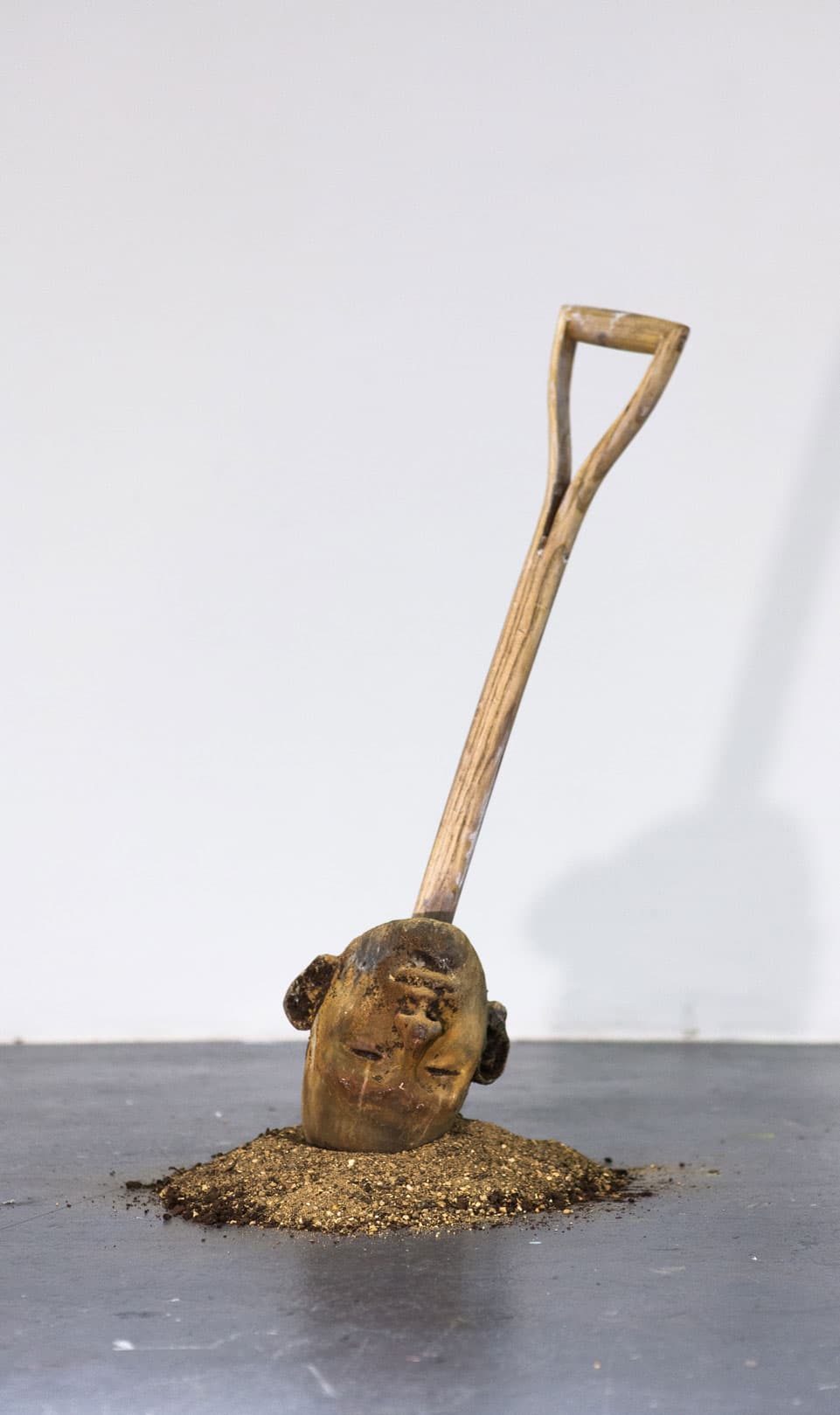 Shovel-head (2015)